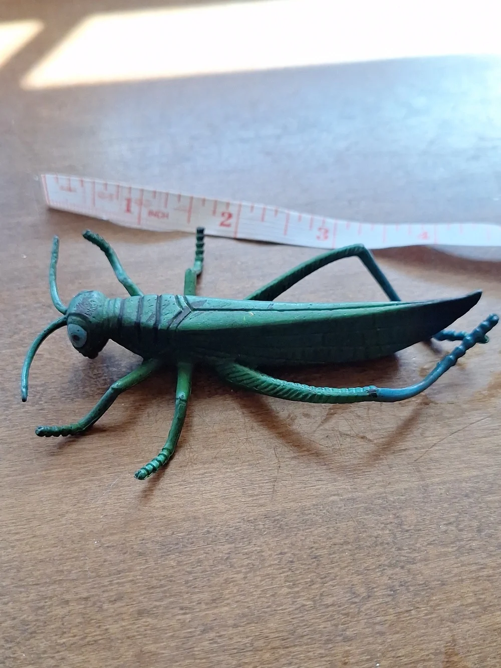 N/A decorative green